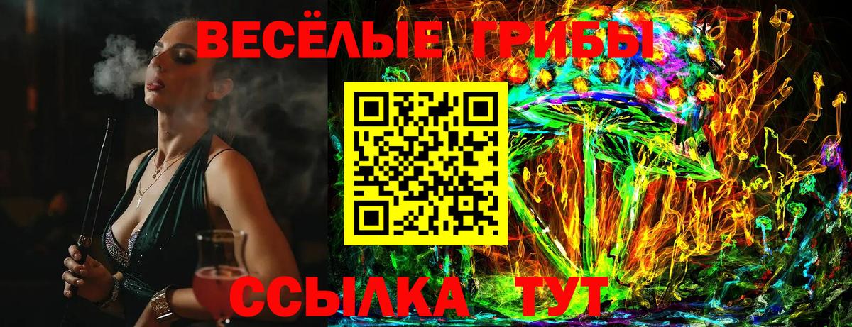 Галлюциногенные грибы прущие грибы Каменка