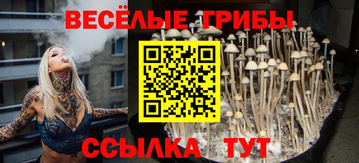 Каменка  Галлюциногенные грибы мухоморы  как найти закладки  Вход с VPN 