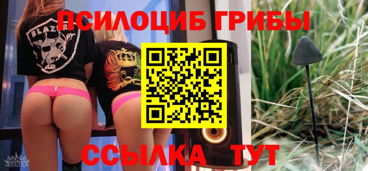  COCAIN Каменка